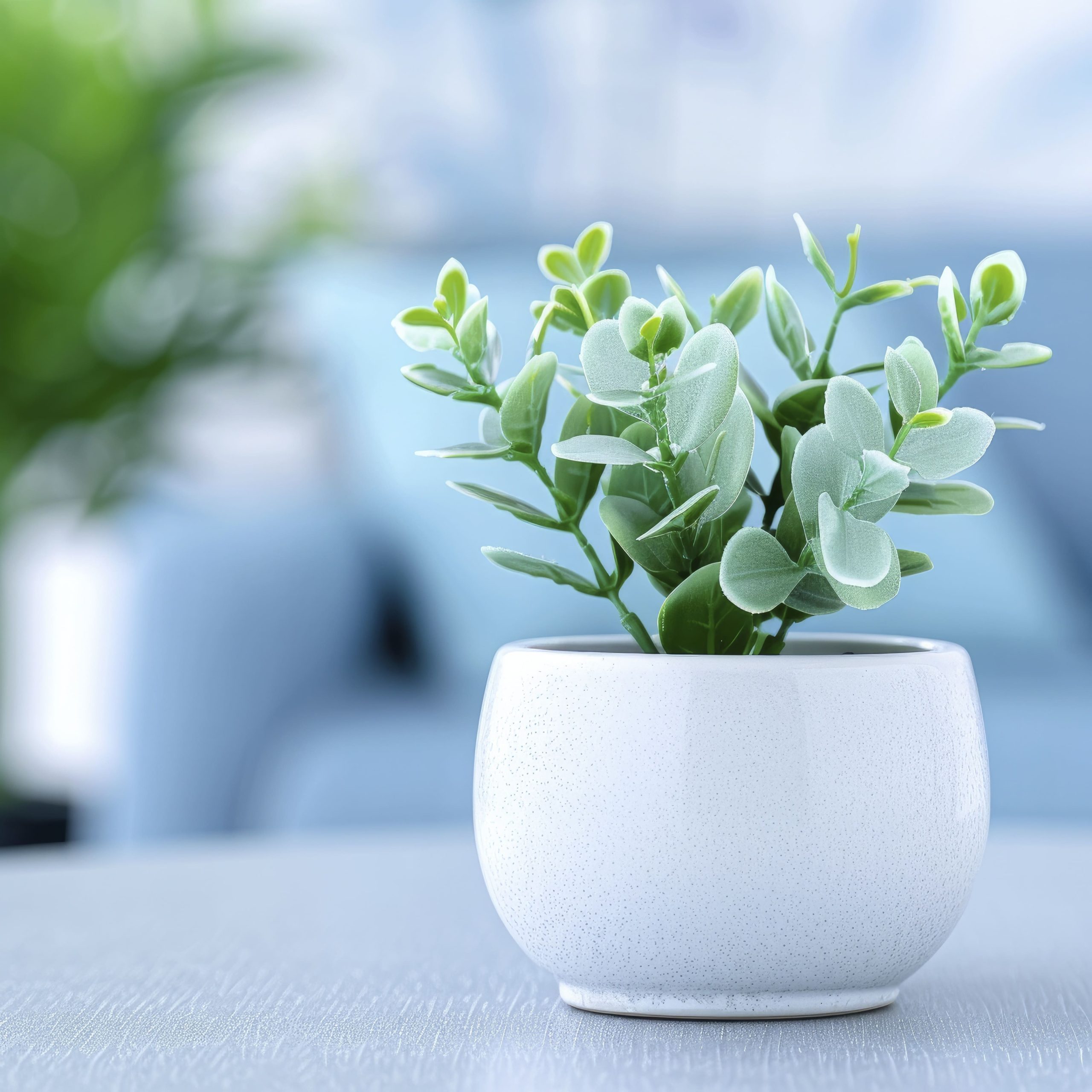 vecteezy_table-with-potted-plant-in-a-modern-office-interior-with_48479285